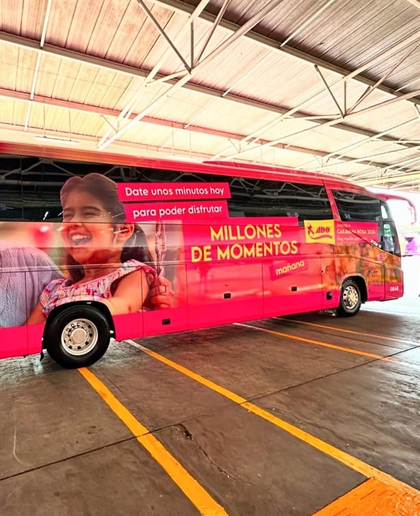 Dan inicio de actividades por el mes rosa en la terminal de ADO Veracruz