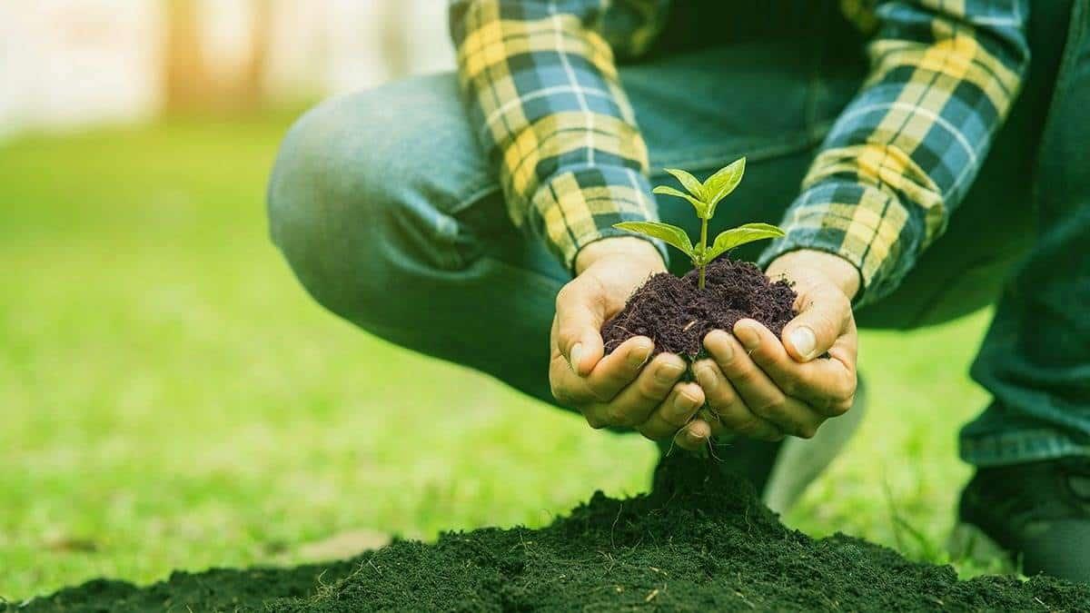 Agroecología y género, bases de una agricultura familiar