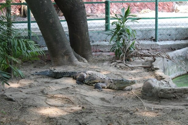 2 parques para visitar en Veracruz| ubicación y horario