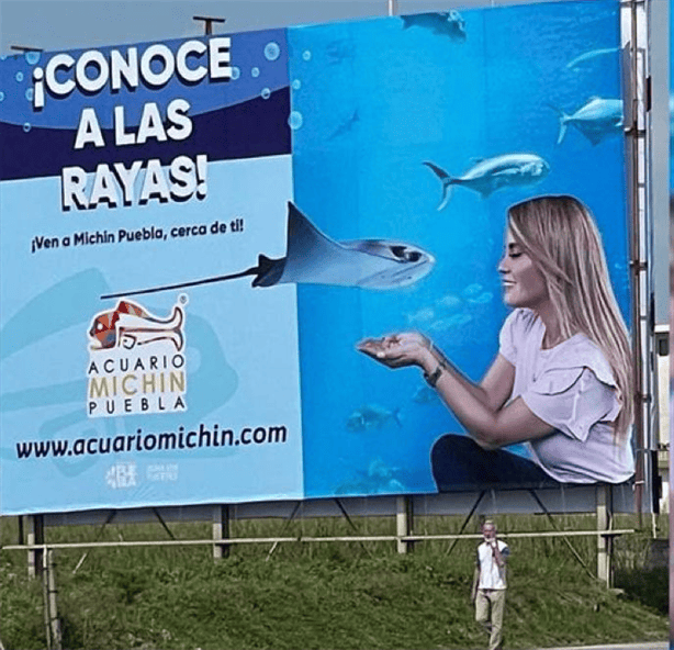 Acuario Michín de Puebla desafía al Aquarium de Veracruz con publicidad en el Puerto