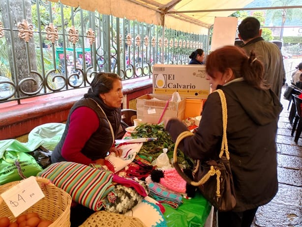 Mujeres de Zongolica participan en Tercera Feria de la Soberanía en Orizaba