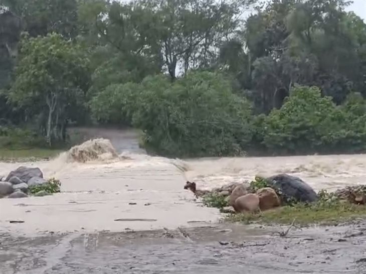 Intensas lluvias causan inundaciones en comunidades de Misantla