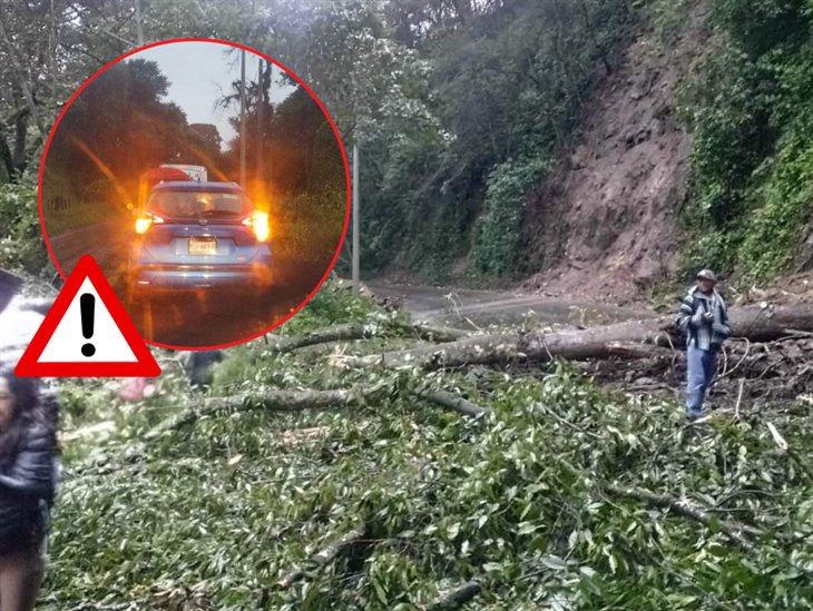 Tras caída de árboles cierran carretera federal Fortín-Huatusco ¡maneja con precaución!