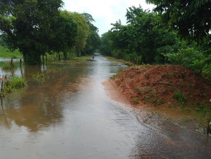 Chinameca y Pajapan entre los municipios más afectados por intensas lluvias | VIDEO