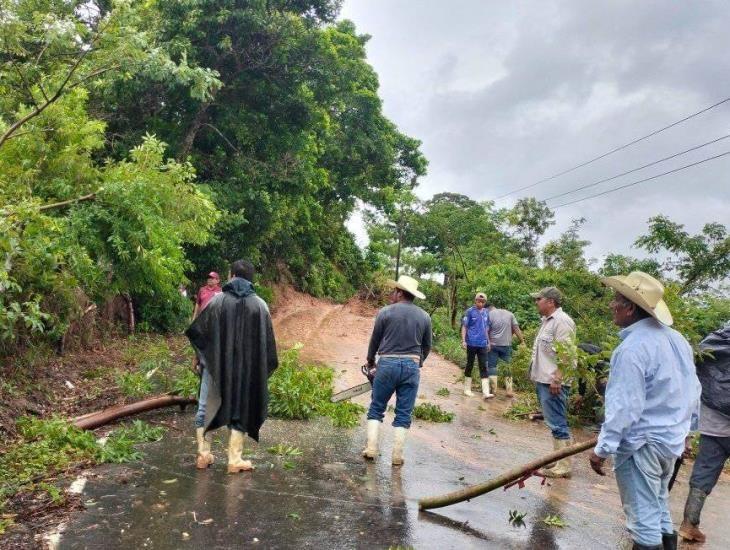 Deslaves dañan caminos en Moloacán, pobladores se unen para limpiar vialidad | VIDEO