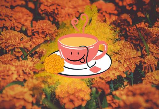 Té de cempasúchil; ¿para qué sirve y cómo prepararlo?