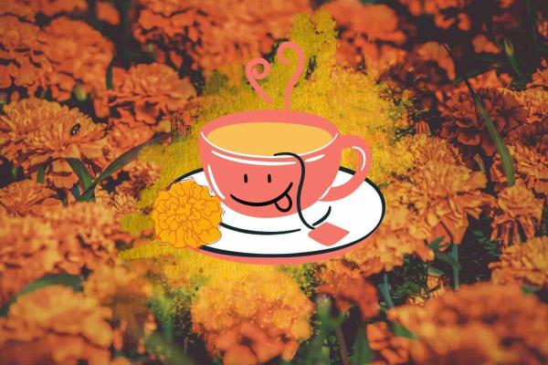 Té de cempasúchil; ¿para qué sirve y cómo prepararlo?