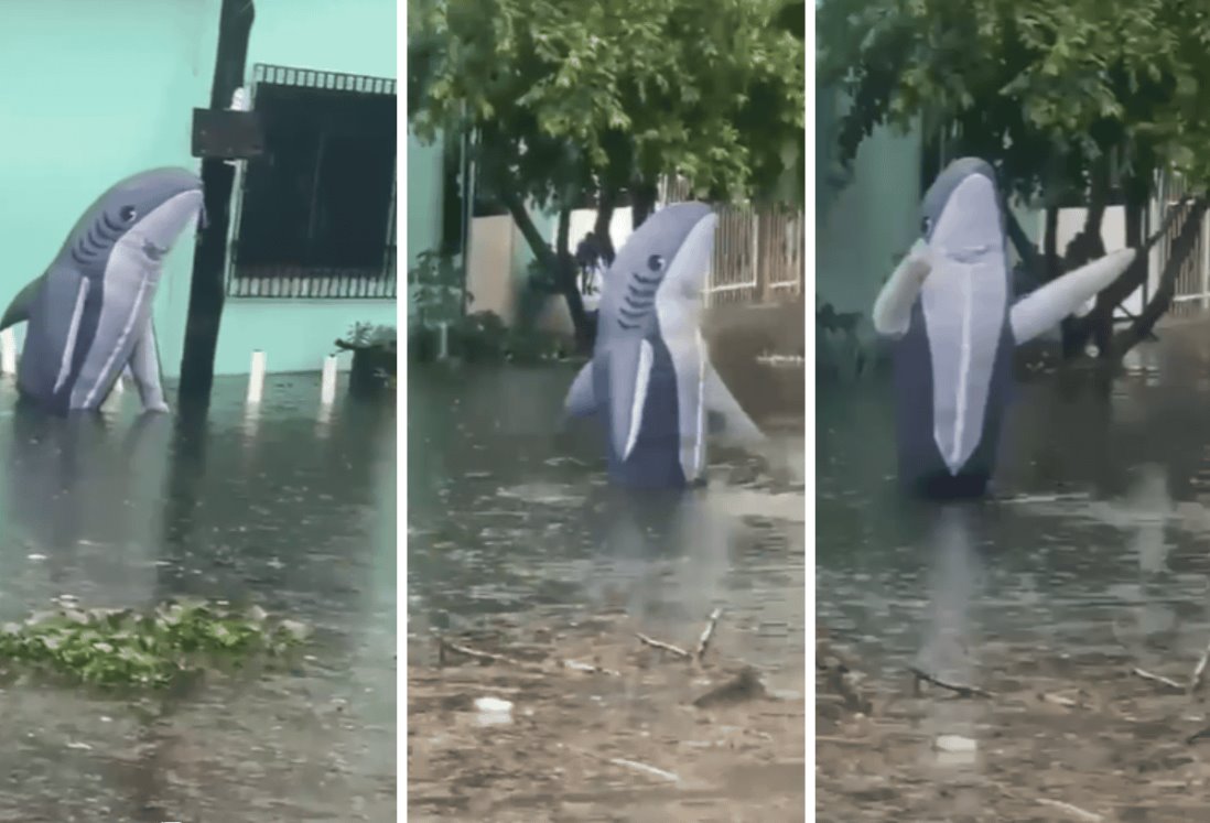 ¡Solo los jarochos! Captan a un tiburón en colonia inundada de Veracruz | VIDEO