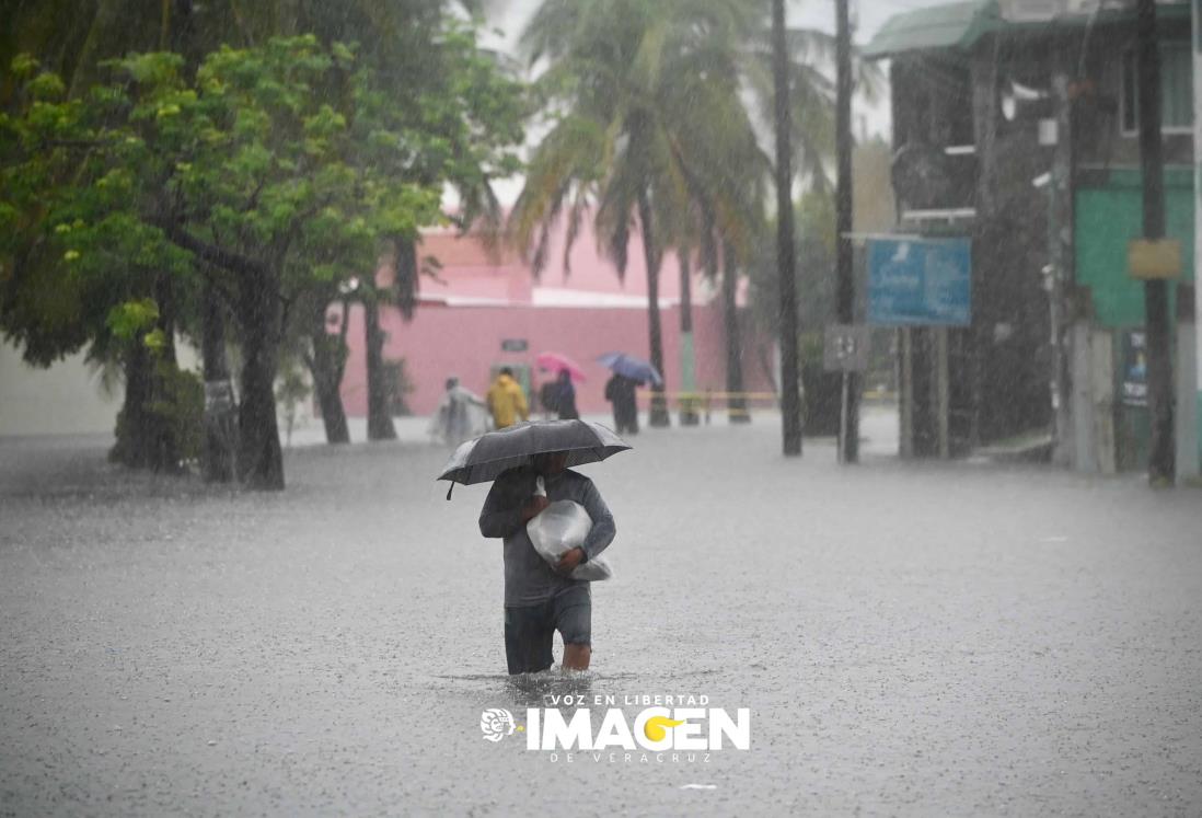 Evacuan a familias del fraccionamiento Floresta, en Veracruz | VIDEO