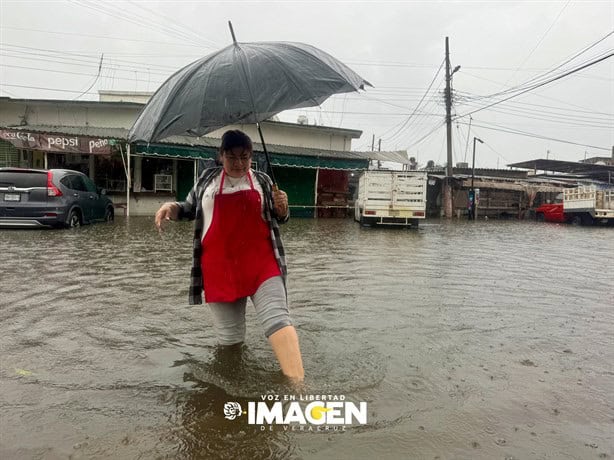 Evacuan a familias del fraccionamiento Floresta, en Veracruz | VIDEO