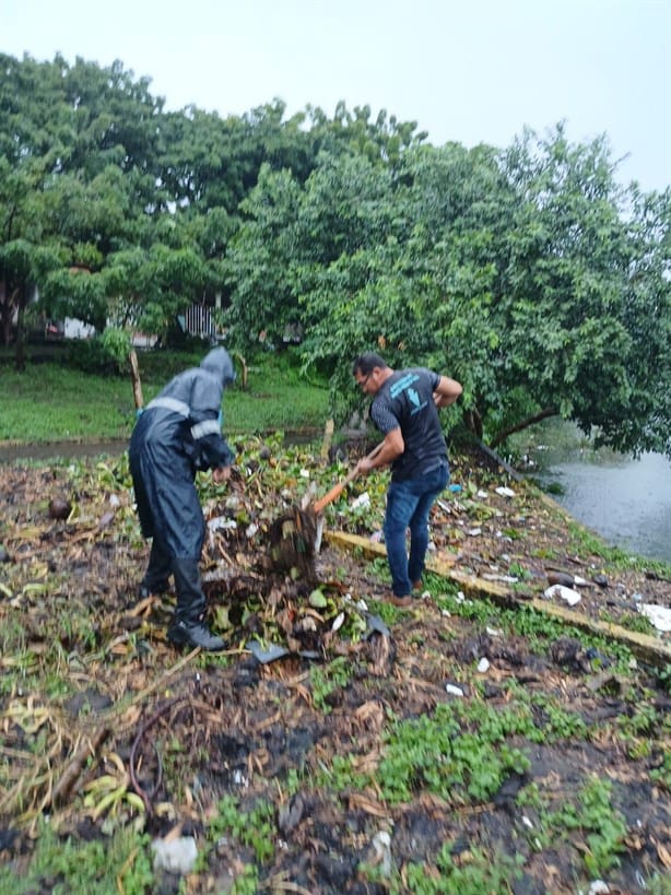 Colonias afectadas y atenciones que ofreció el Ayuntamiento de Veracruz por fuertes lluvias