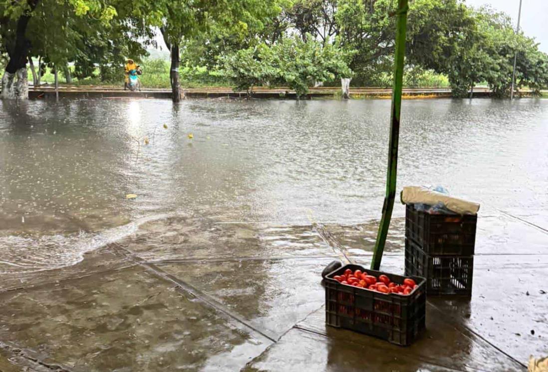 Se desborda la Laguna de Lagartos en Veracruz por fuertes lluvias