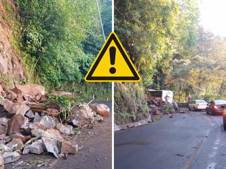 ¡Cuidado! intensas lluvias provocan derrumbe en la carretera Misantla-Xalapa