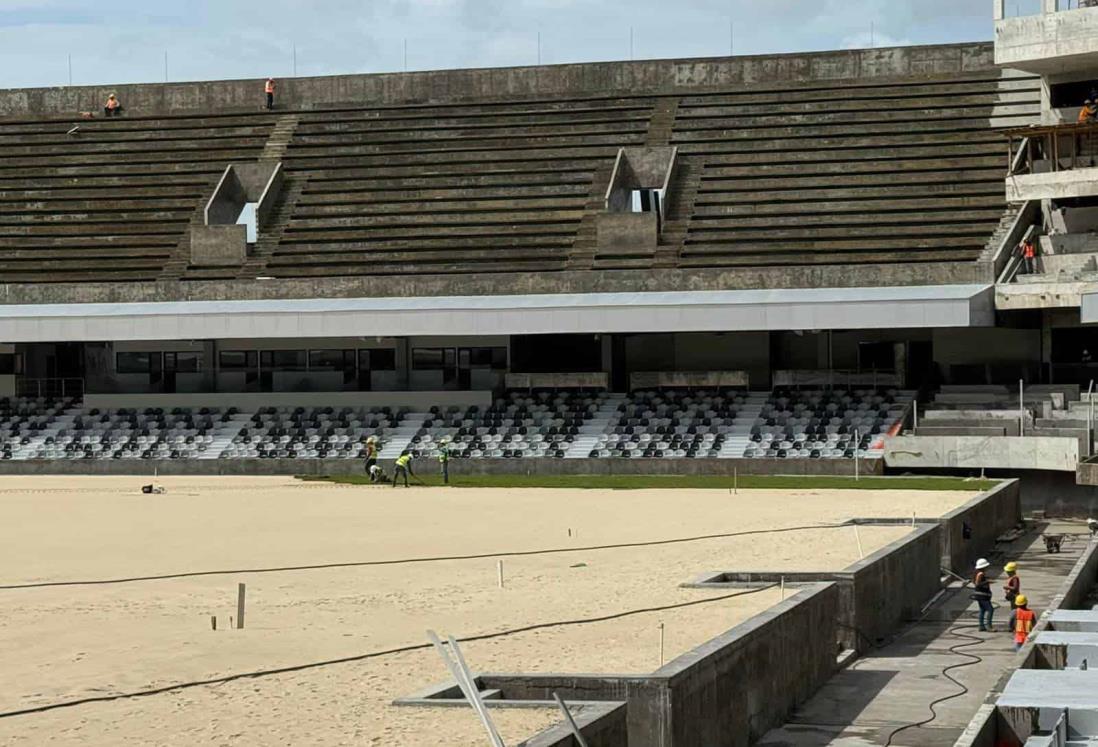 Inicia la colocación de pasto en las canchas del estadio Luis Pirata Fuente, en Veracruz