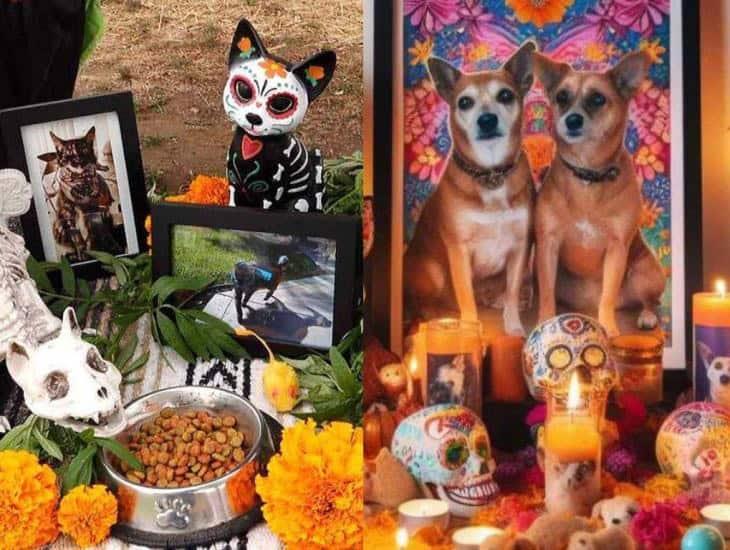 Día de muertos: ¿Cuándo se pone la ofrenda a las mascotas y qué lleva?