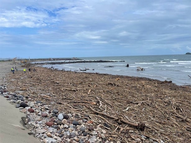 Llega palizada a playas de Boca del Río tras intensa lluvia