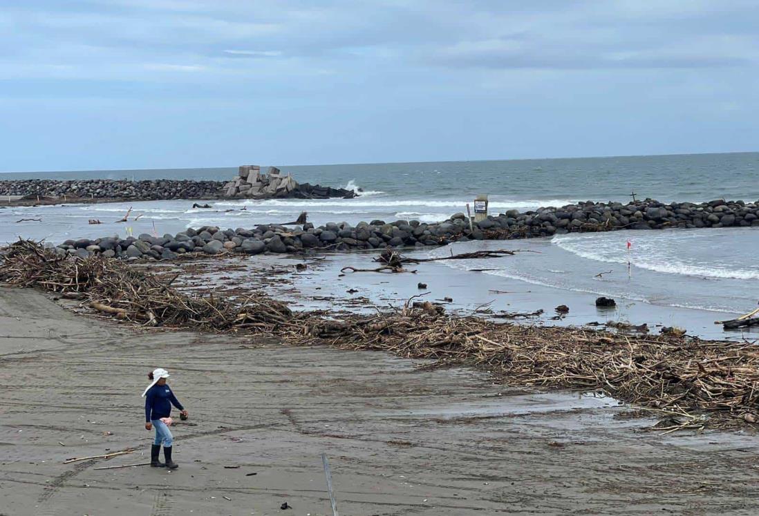 Llega palizada a playas de Boca del Río tras intensa lluvia