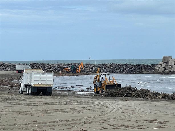 Llega palizada a playas de Boca del Río tras intensa lluvia