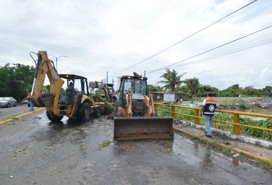 Retiran lirio acuático y basura del Arroyo Puente Moreno para evitar inundaciones