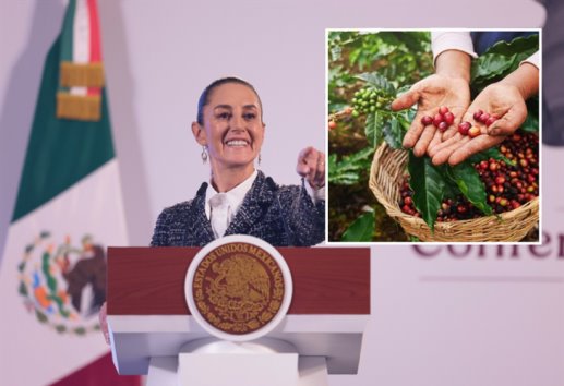 Claudia Sheinbaum apoyará a productores de café en Veracruz; van contra el acaparamiento