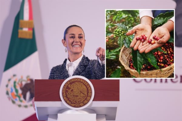 Claudia Sheinbaum apoyará a productores de café en Veracruz; van contra el acaparamiento