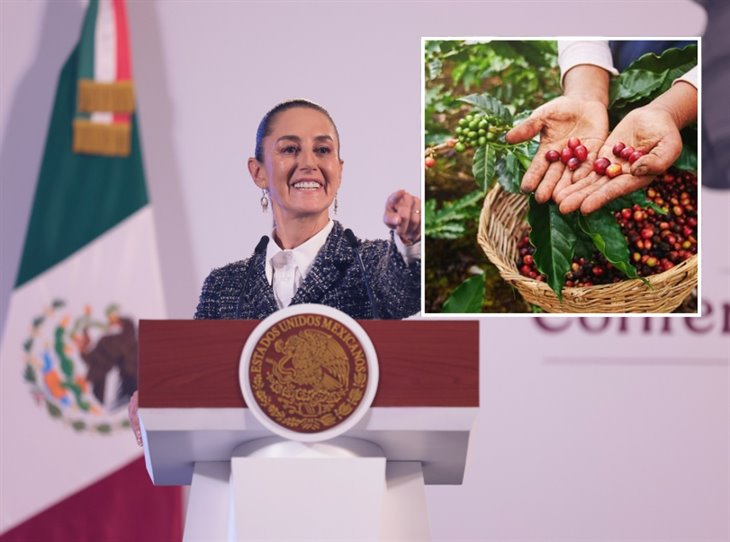 Claudia Sheinbaum apoyará a productores de café en Veracruz; van contra el acaparamiento