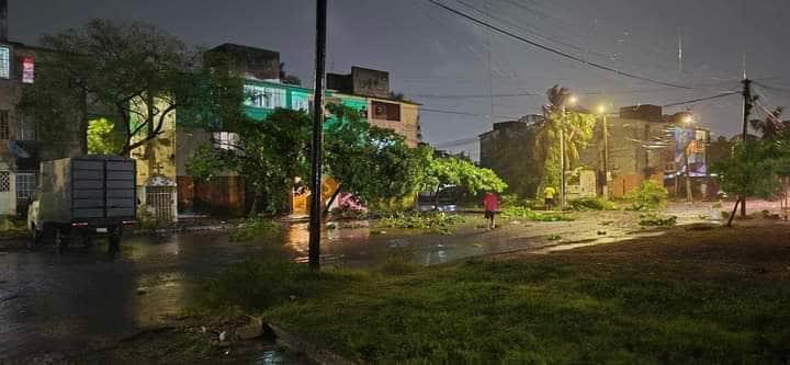 Ráfaga tipo tornado destruye cristal de Oxxo y derriba árboles en colonia de Veracruz