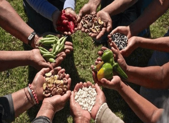 La soberanía alimentaria llegaría a Veracruz