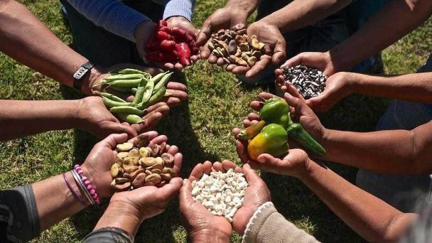 CAFÉ DE MAÑANA: LA SOBERANÍA ALIMENTARIA LLEGARÍA A VERACRUZ