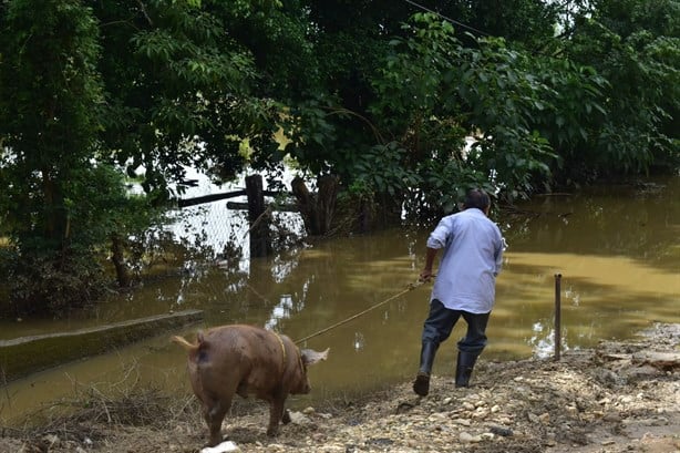 La peor inundación en Jesús Carranza en 10 años; miles de familias damnificadas por Nadine l VIDEO