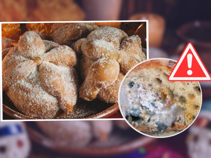 ¿Cómo conservar el pan de muerto? Esto dicen expertos panaderos