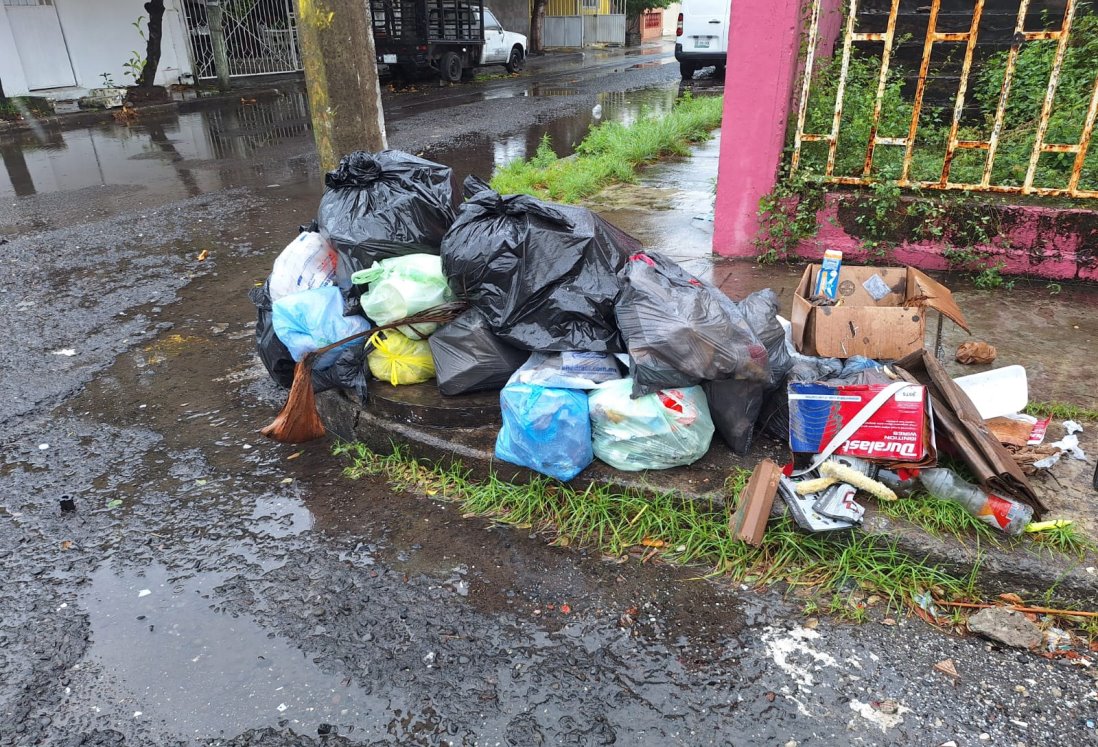 Vecinos de la colonia Pinos denuncian acumulación de basura en Veracruz