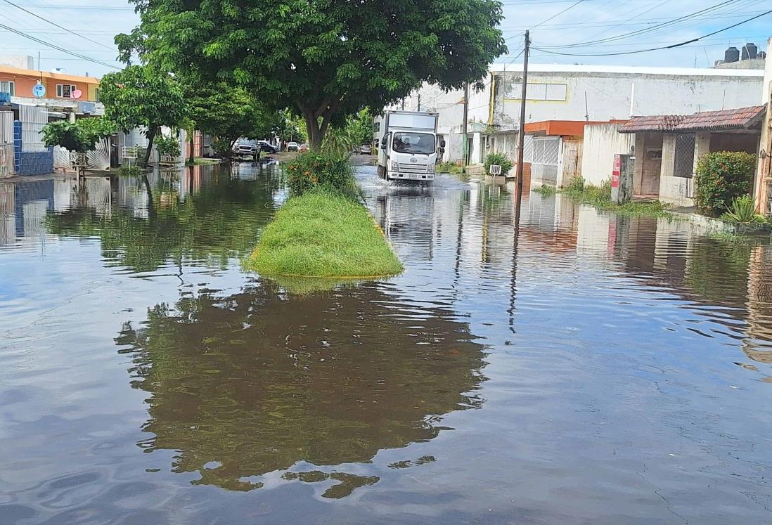 Calles del Floresta siguen inundadas a tres días de las fuertes lluvias en Veracruz | VIDEO