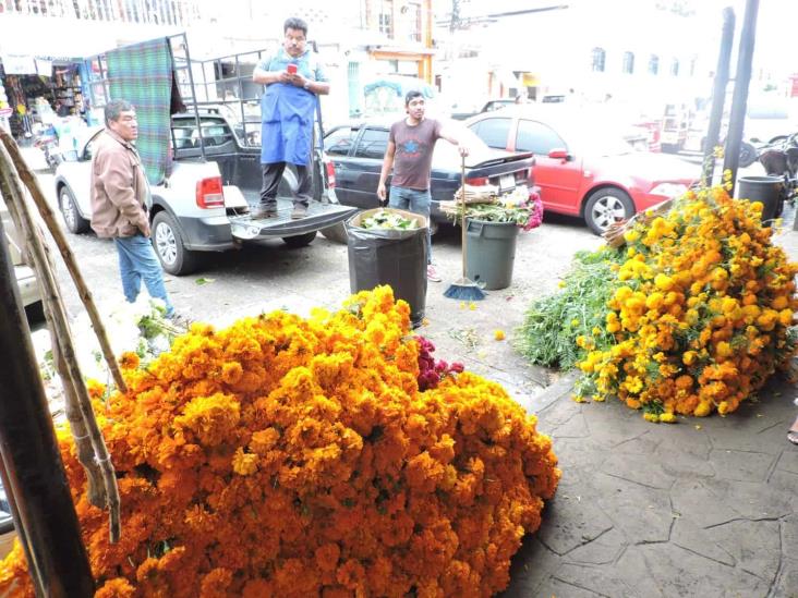 Día de Muertos: Comienza venta de flores de cempasúchil en mercados de Xalapa