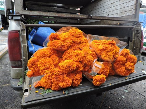 Día de Muertos: Comienza venta de flores de cempasúchil en mercados de Xalapa