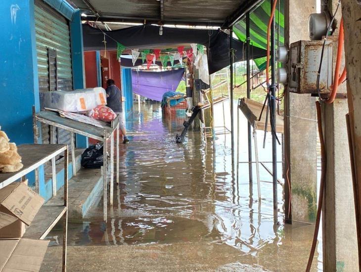 Por inundaciones, comerciantes de mercado en Minatitlán migran a otras zonas