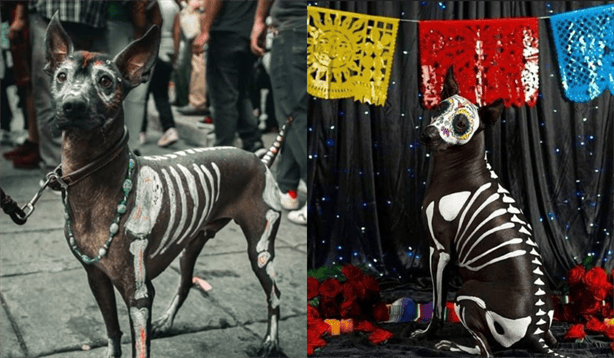 Halloween 2024: Las mejores ideas de disfraces mexicanos