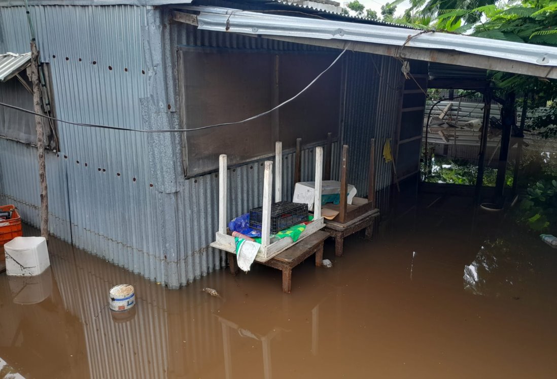 Medellín de Bravo enfrenta inundaciones en viviendas debido a crecida de ríos y arroyos