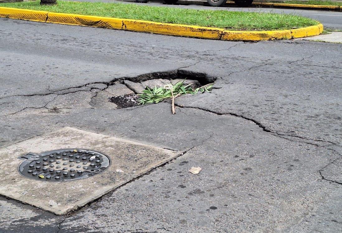 Advierten de hundimiento en calle del fraccionamiento Floresta, en Veracruz