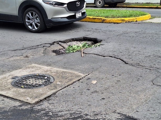 Advierten de hundimiento en calle del fraccionamiento Floresta, en Veracruz