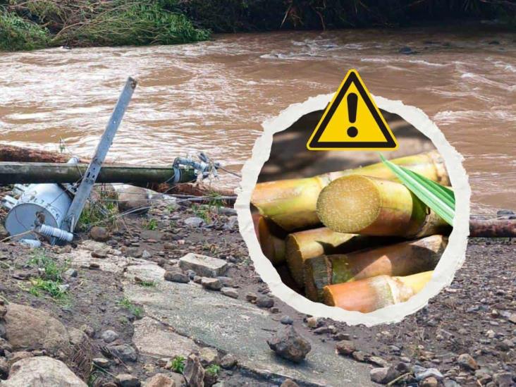 Lluvias en Hueyapan dejan afectaciones en 50 mil hectáreas de caña de azúcar