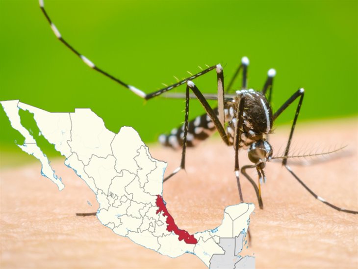 Dengue en Veracruz ya supera los 6 mil casos confirmados este 2024