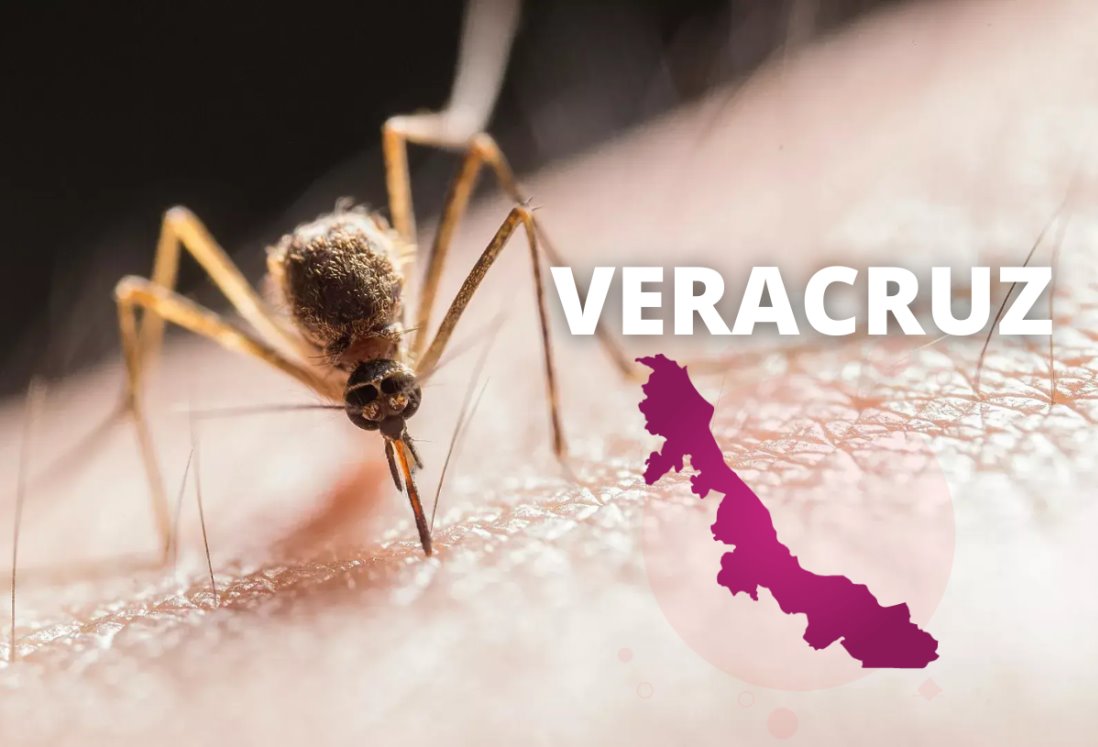 Suman más de 6 mil casos de dengue confirmados en Veracruz este 2024