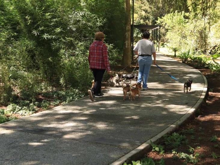 Turismo Crece en Ciudad Mendoza con el Parque Temático Ciudad de los Ahuehuetes