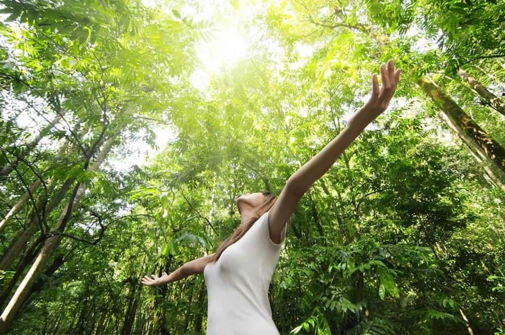 Paz con la naturaleza