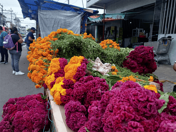 Mercados de Veracruz se llenan de cempasúchil y moco de pavo para Día de Muertos