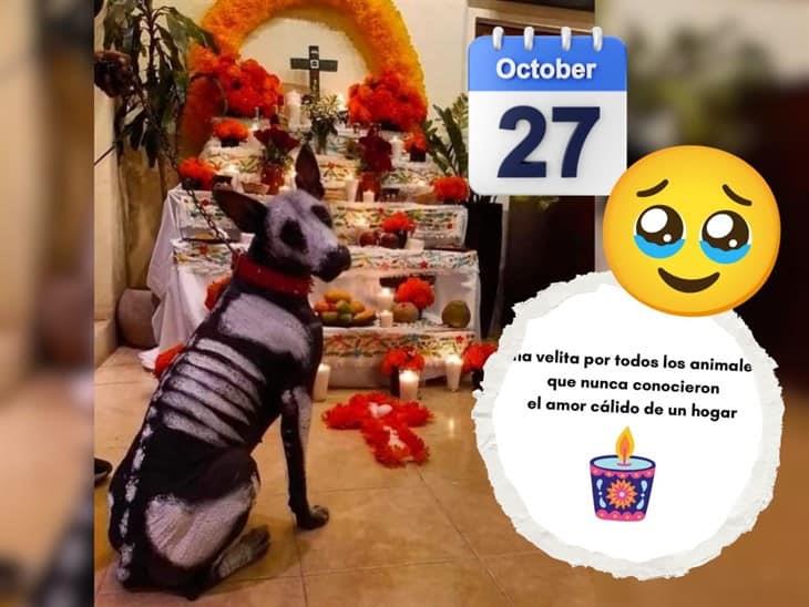 Esperar a mascotas difuntas cada 27 de octubre, ¿es una tradición?