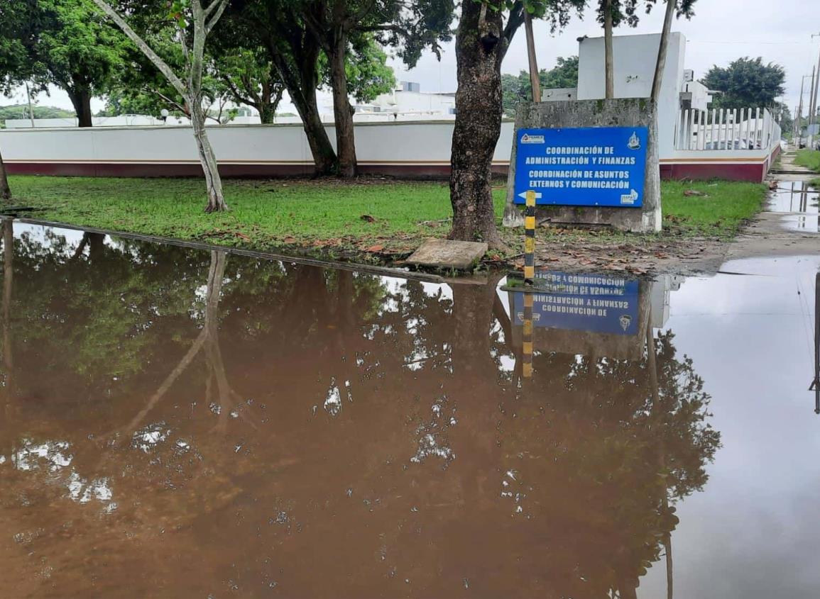 En aparente abandono inmediaciones del Activo Integral Cinco Presidentes