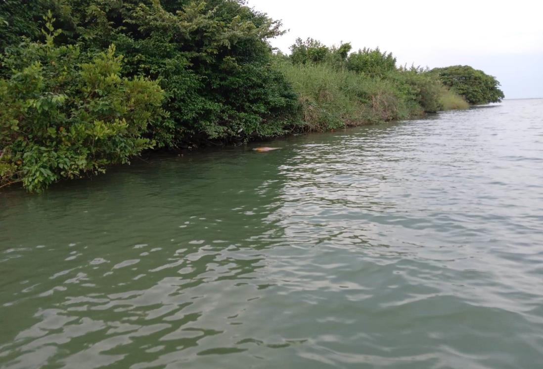 Hallan cuerpo flotando en el río Misantla