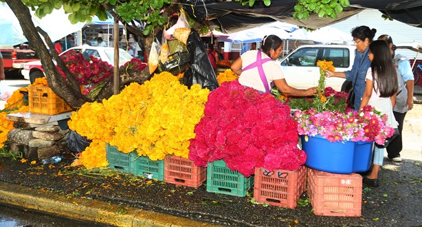 Día de Muertos: Cempasúchil llena de color esta calle en Coatzacoalcos | VIDEO